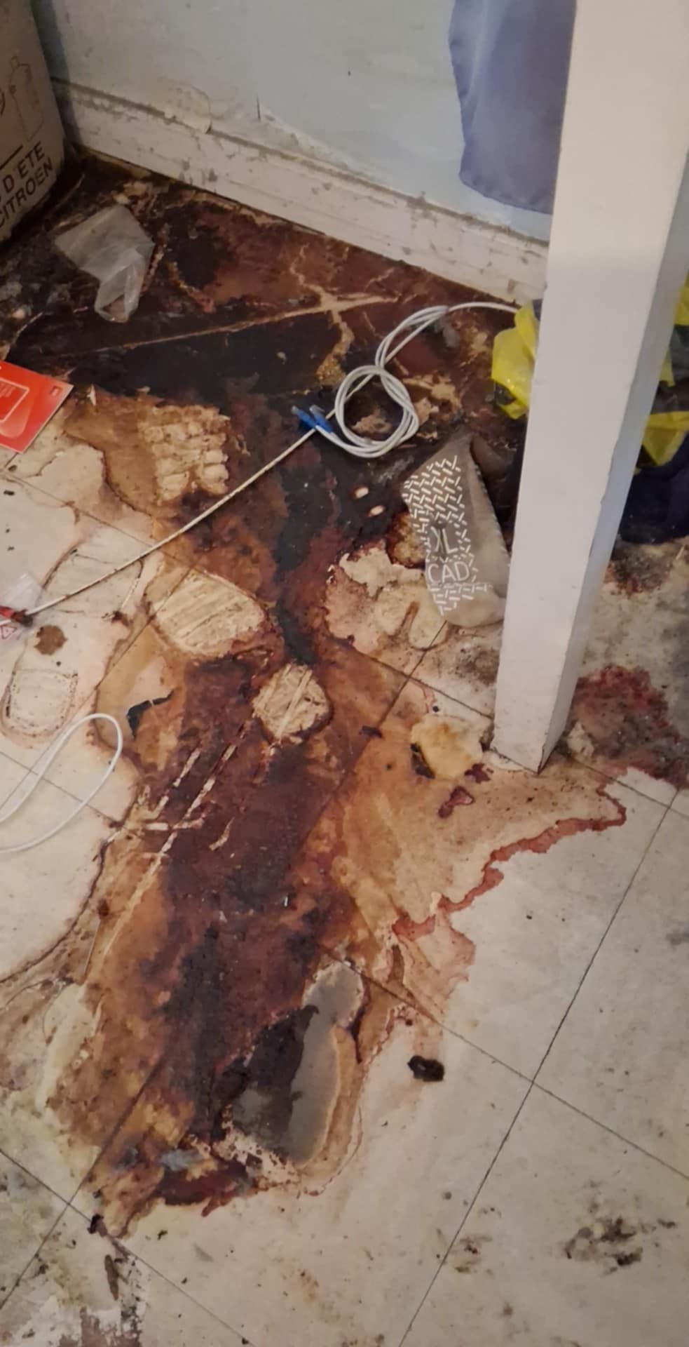 Comment planifier un nettoyage extrême dans une maison avec étage, cave et dépendances à Argenteuil WhatsApp Image 2025 04 17 A 15.46.17 4b3920f9